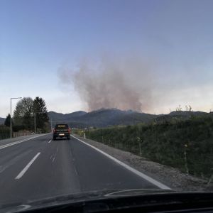 WaldbrandRein (27)
